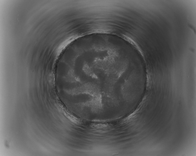 X0000103291027200809051455