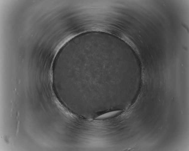 X0000103291028200809051455