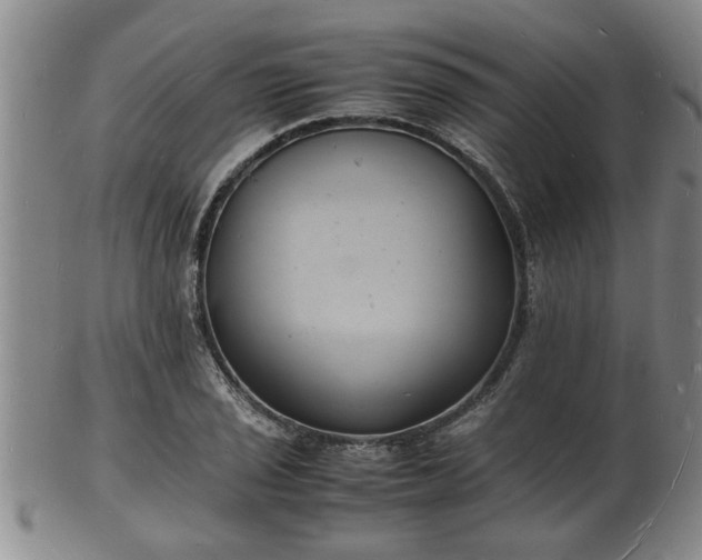 X0000103291029200809051455