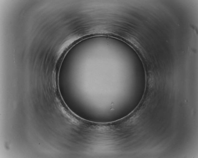 X0000103291030200809051455