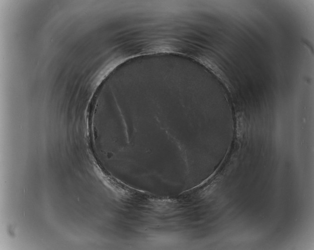 X0000103291031200809051455