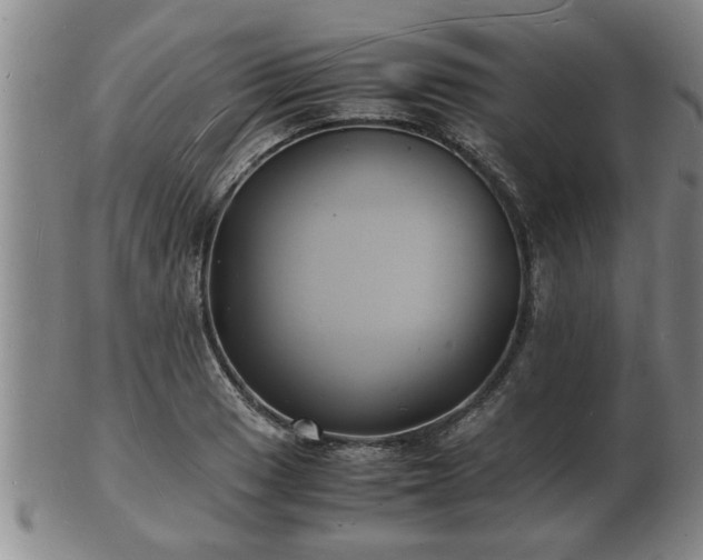 X0000103291033200809051455