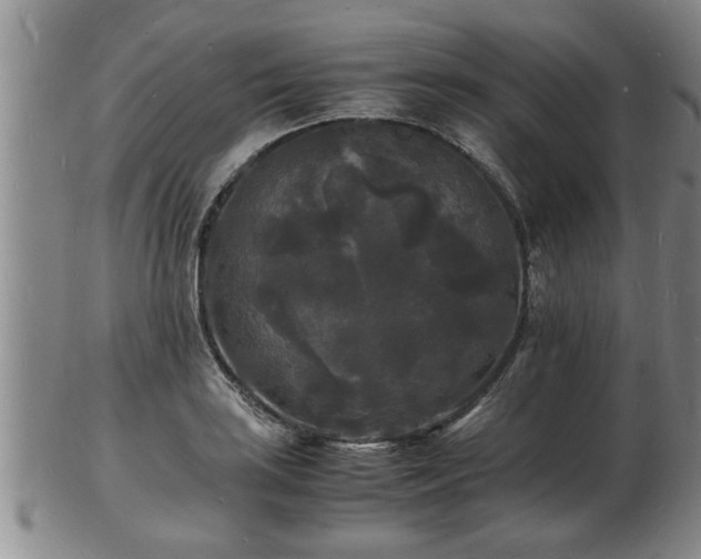 X0000103291035200809051455