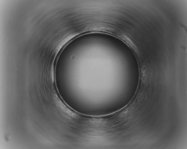 X0000103291036200809051455