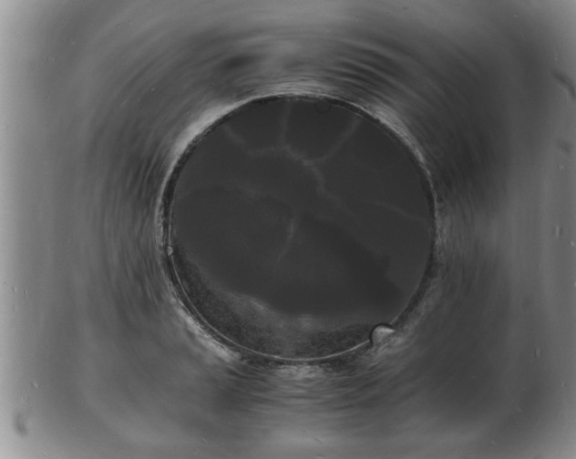 X0000103291037200809051455