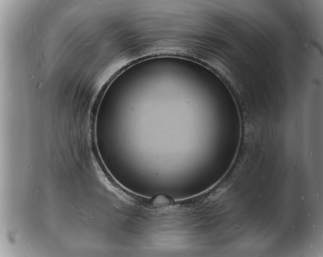 X0000103291038200809051455