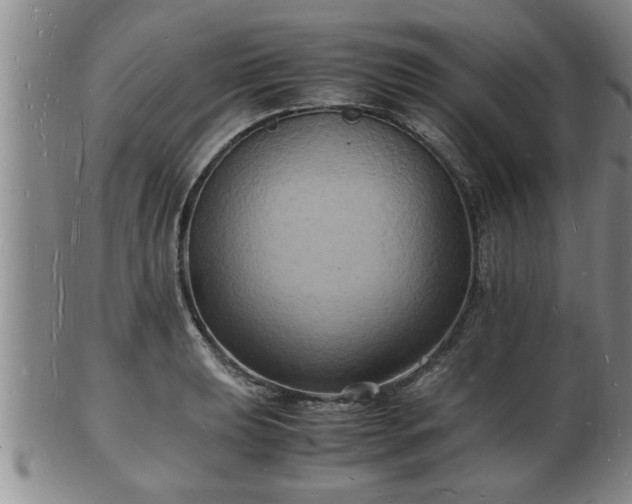 X0000103291039200809051455