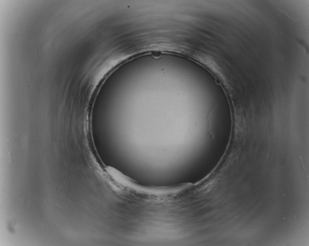 X0000103291040200809051455