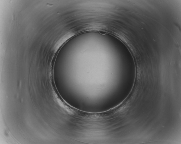 X0000103291042200809051455