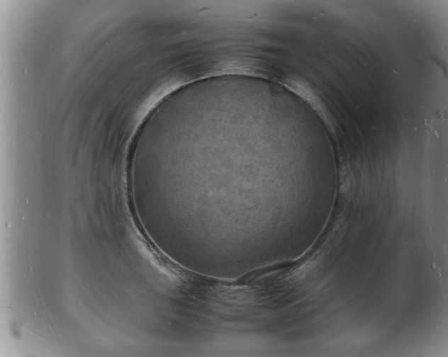 X0000103291043200809051455