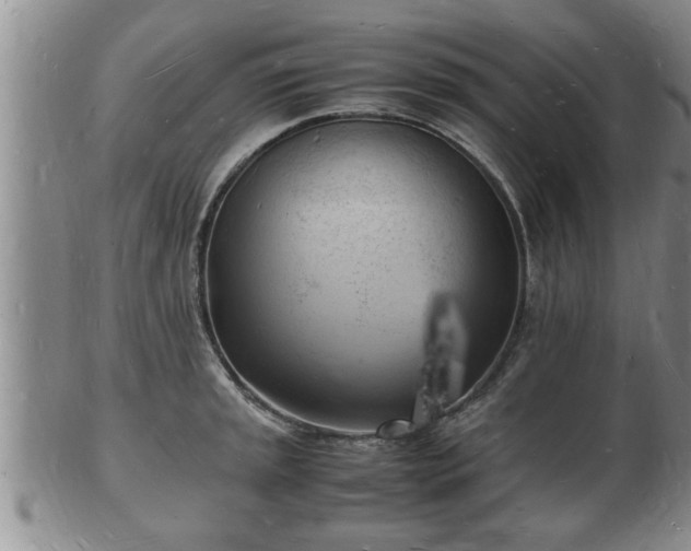 X0000103291045200809051455