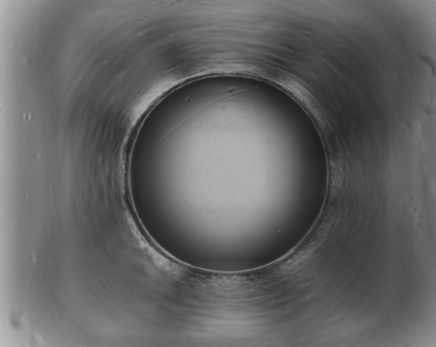 X0000103291046200809051455