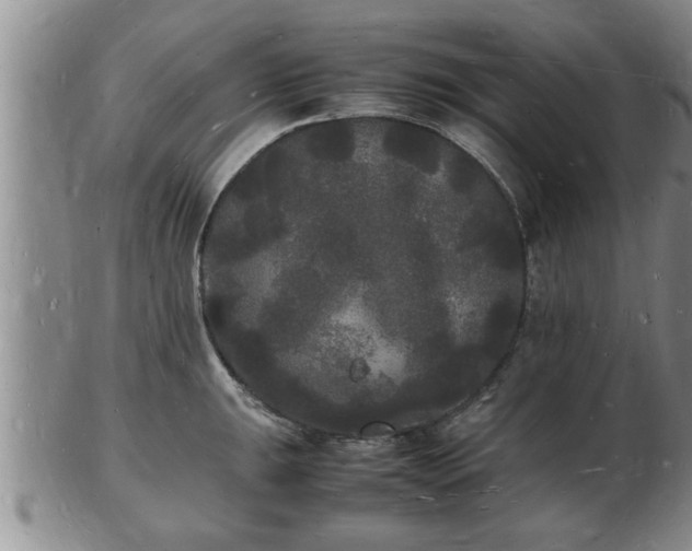 X0000103291047200809051455