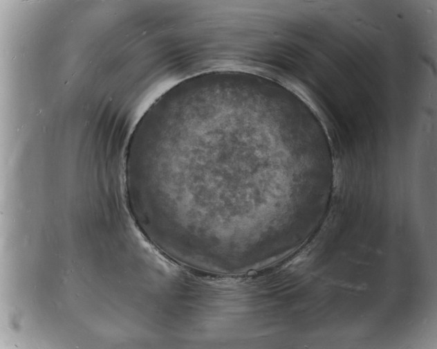 X0000103291048200809051455