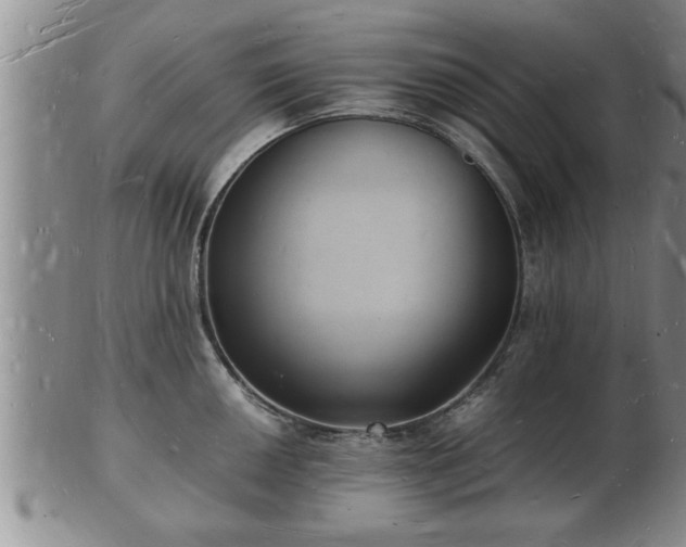 X0000103291050200809051455