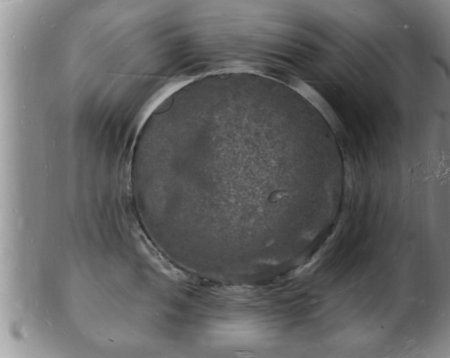 X0000103291052200809051455