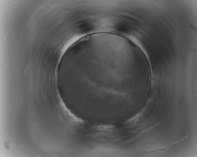 X0000103291053200809051455