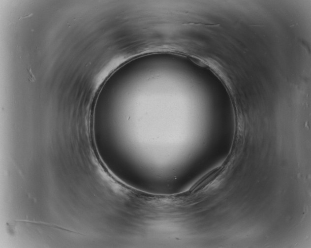 X0000103291054200809051455