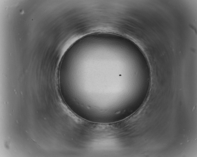 X0000103291056200809051455