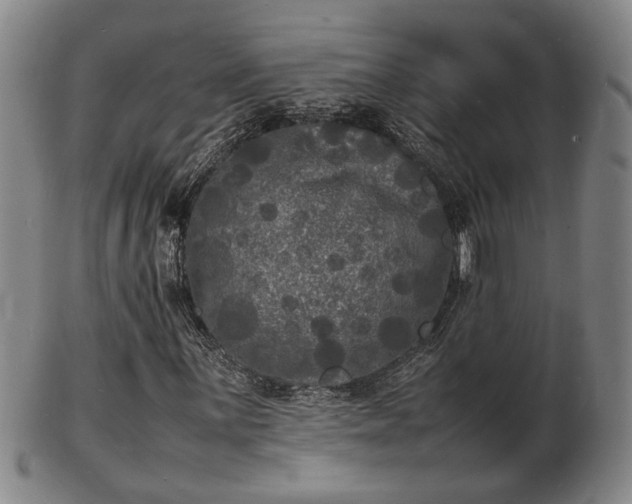 X0000103291059200809051454