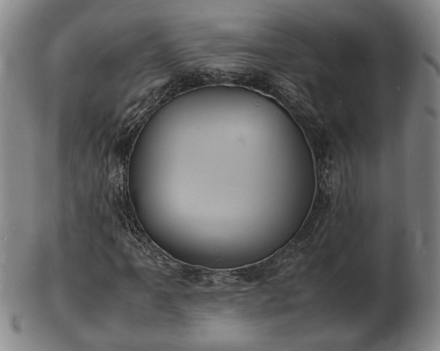 X0000103291061200809051454