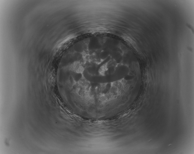 X0000103291063200809051454