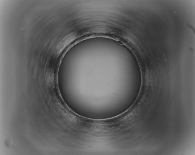 X0000103291065200809051454