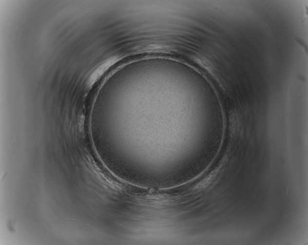 X0000103291066200809051454