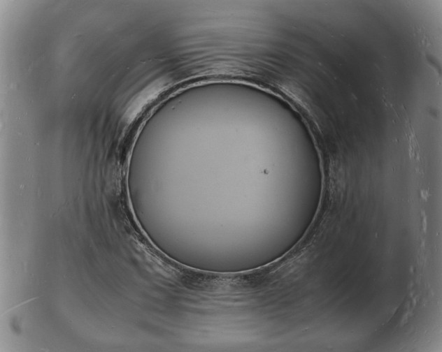 X0000103291067200809051454