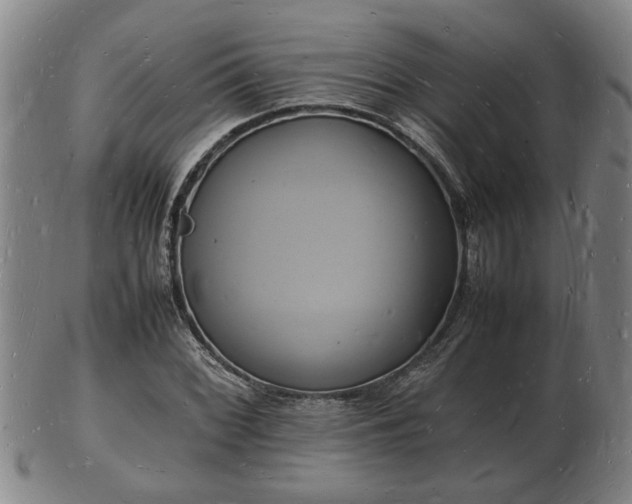 X0000103291068200809051454