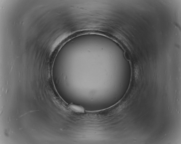 X0000103291069200809051454