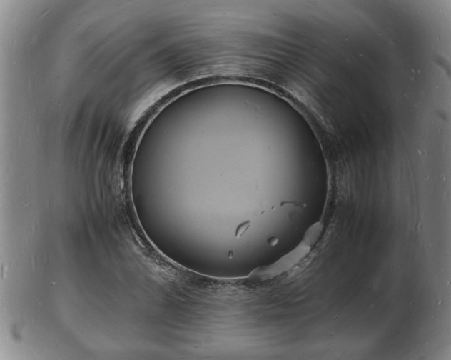 X0000103291070200809051454