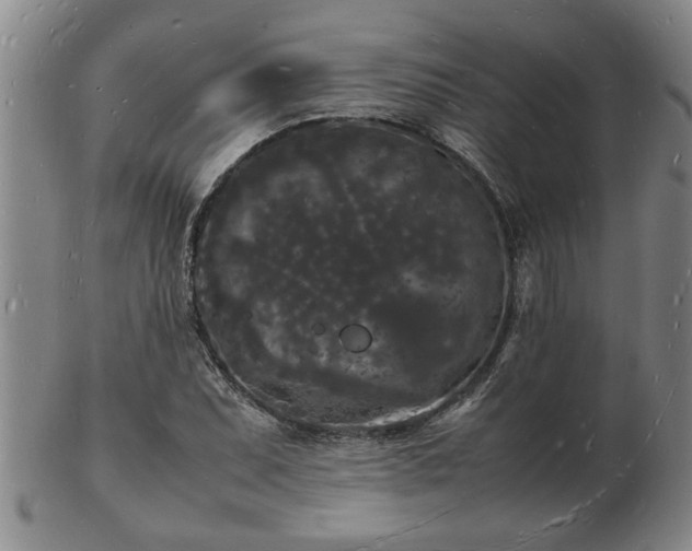 X0000103291071200809051454