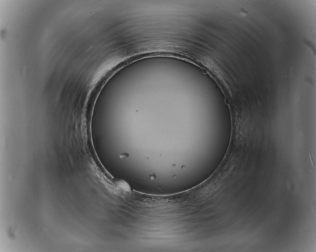 X0000103291072200809051454