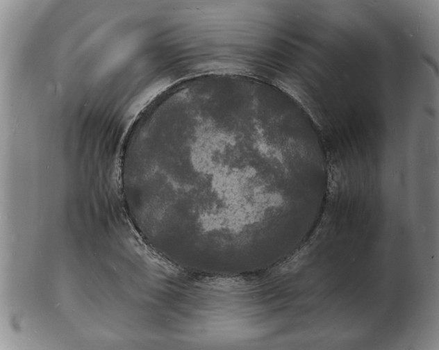 X0000103291074200809051454