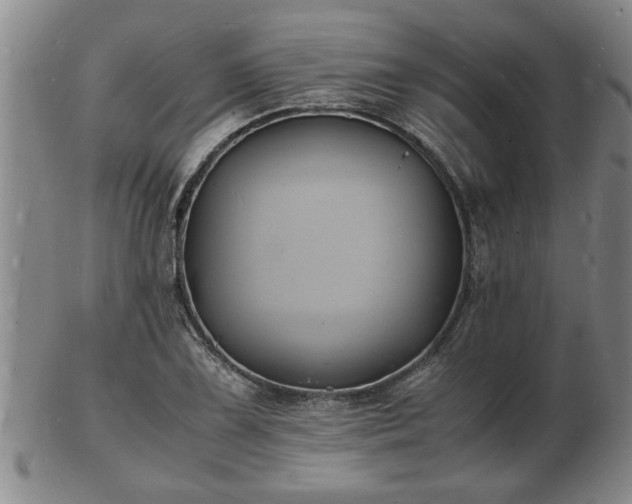 X0000103291075200809051454