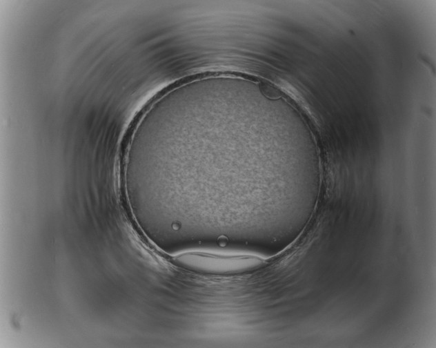 X0000103291076200809051454