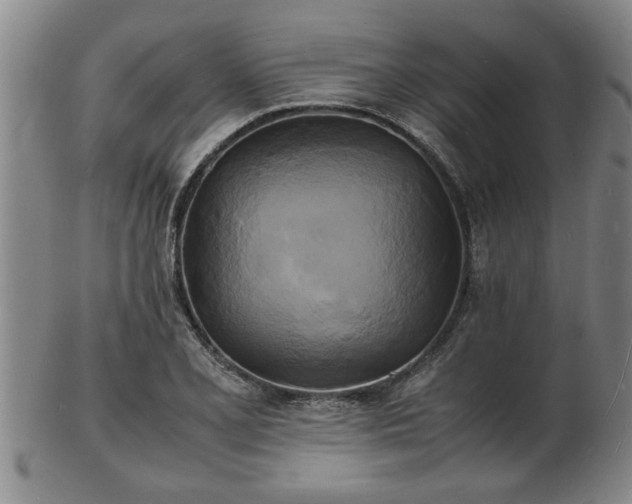 X0000103291077200809051454