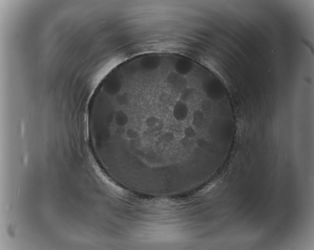 X0000103291079200809051454