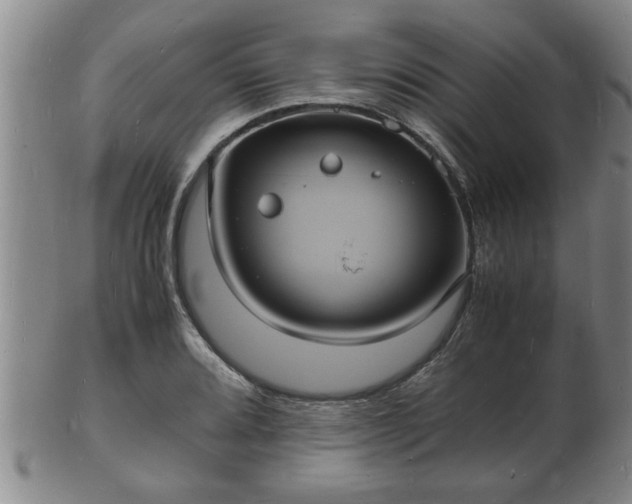 X0000103291080200809051454