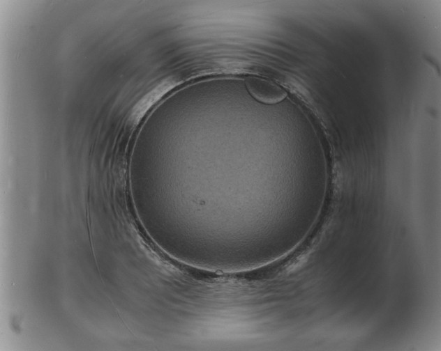 X0000103291081200809051454