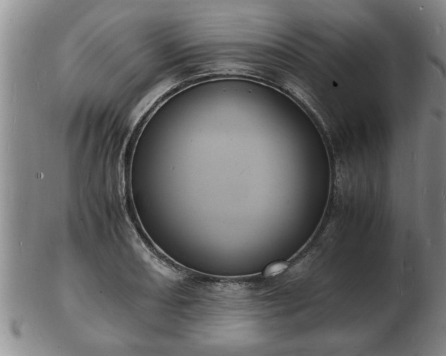 X0000103291082200809051454