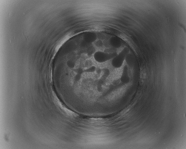 X0000103291083200809051454