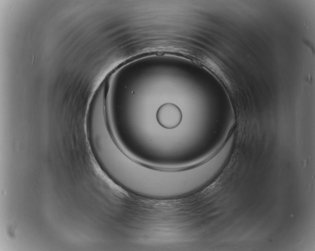 X0000103291084200809051454