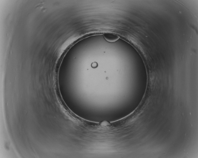 X0000103291085200809051454