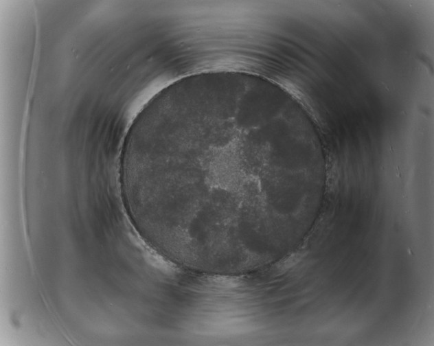 X0000103291086200809051454