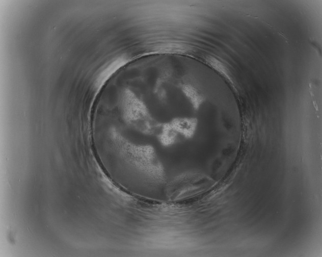 X0000103291087200809051454