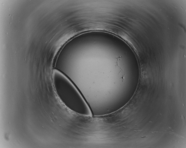 X0000103291088200809051454