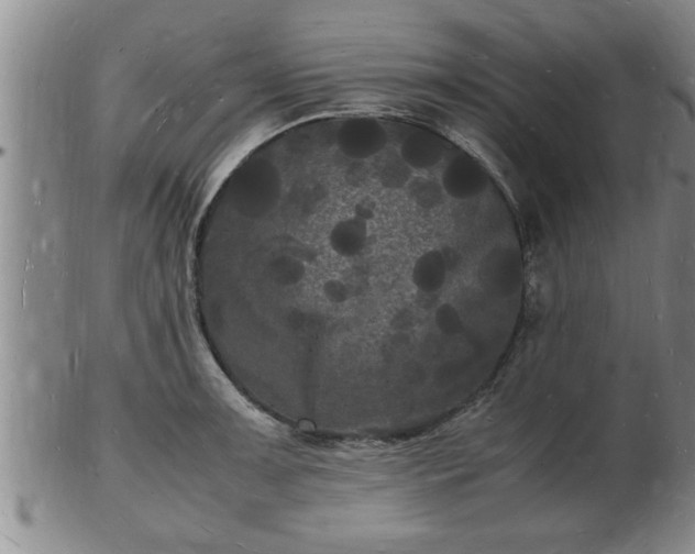 X0000103291091200809051454