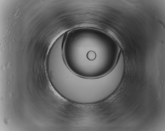 X0000103291092200809051454